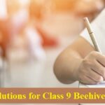 NCERT Solutions for Class 9 English Beehive Chapter 8 - Reach for the Top